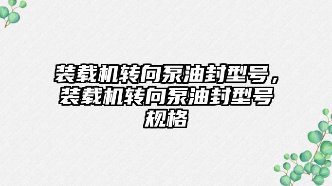 裝載機轉向泵油封型號，裝載機轉向泵油封型號規格