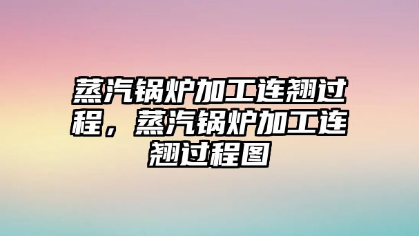 蒸汽鍋爐加工連翹過(guò)程，蒸汽鍋爐加工連翹過(guò)程圖