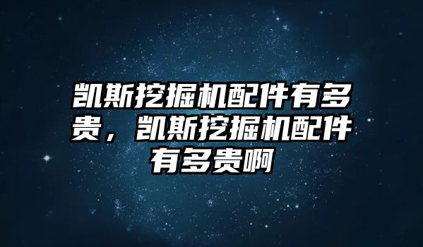 凱斯挖掘機配件有多貴，凱斯挖掘機配件有多貴啊