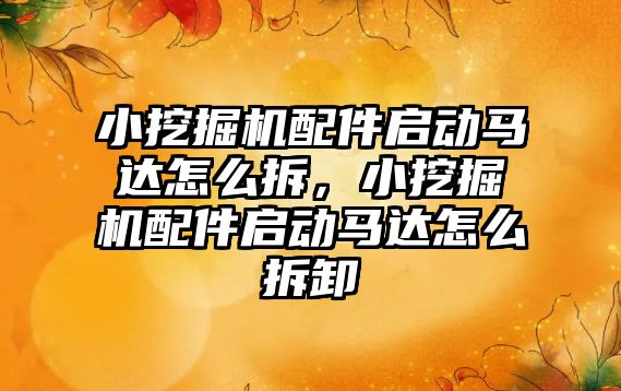 小挖掘機配件啟動馬達怎么拆，小挖掘機配件啟動馬達怎么拆卸