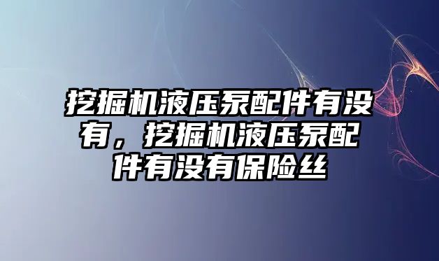 挖掘機(jī)液壓泵配件有沒有，挖掘機(jī)液壓泵配件有沒有保險(xiǎn)絲