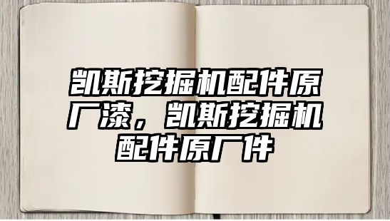 凱斯挖掘機配件原廠漆，凱斯挖掘機配件原廠件