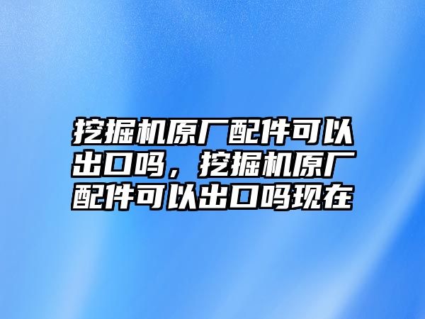 挖掘機原廠配件可以出口嗎，挖掘機原廠配件可以出口嗎現在