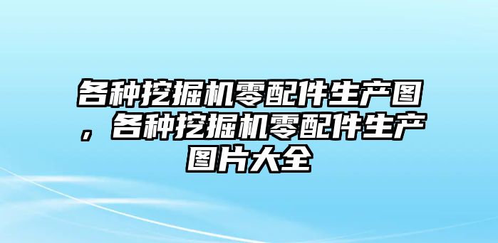 各種挖掘機(jī)零配件生產(chǎn)圖，各種挖掘機(jī)零配件生產(chǎn)圖片大全