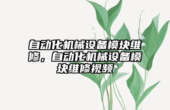 自動化機械設(shè)備模塊維修，自動化機械設(shè)備模塊維修視頻