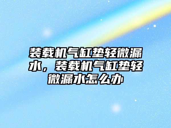 裝載機氣缸墊輕微漏水，裝載機氣缸墊輕微漏水怎么辦