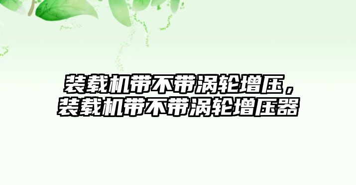 裝載機(jī)帶不帶渦輪增壓，裝載機(jī)帶不帶渦輪增壓器