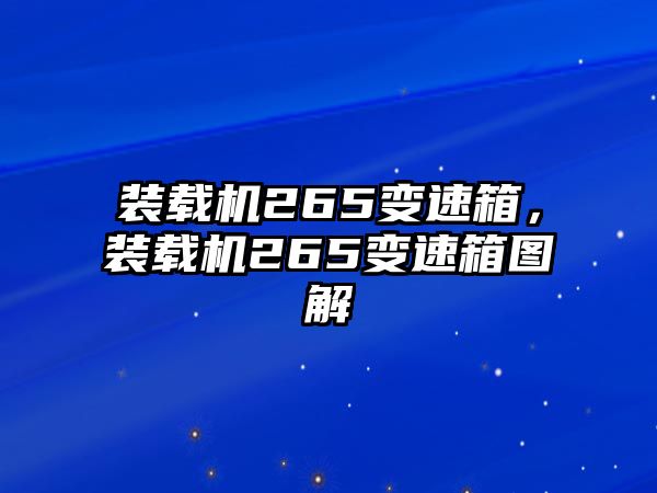 裝載機265變速箱，裝載機265變速箱圖解