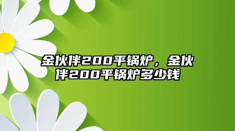 金伙伴200平鍋爐，金伙伴200平鍋爐多少錢