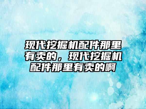 現代挖掘機配件那里有賣的，現代挖掘機配件那里有賣的啊