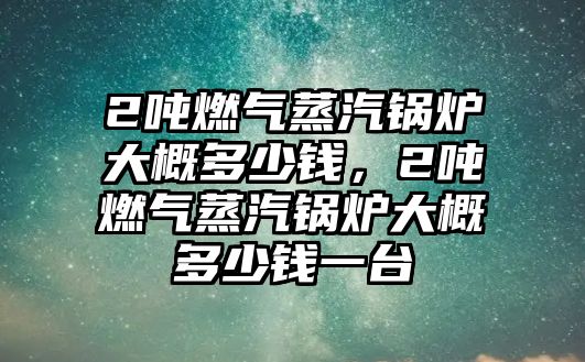 2噸燃氣蒸汽鍋爐大概多少錢，2噸燃氣蒸汽鍋爐大概多少錢一臺