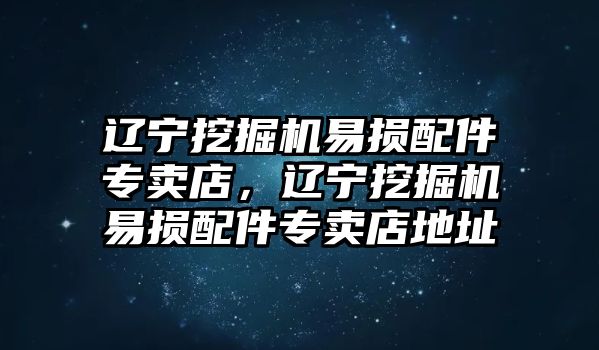 遼寧挖掘機易損配件專賣店，遼寧挖掘機易損配件專賣店地址