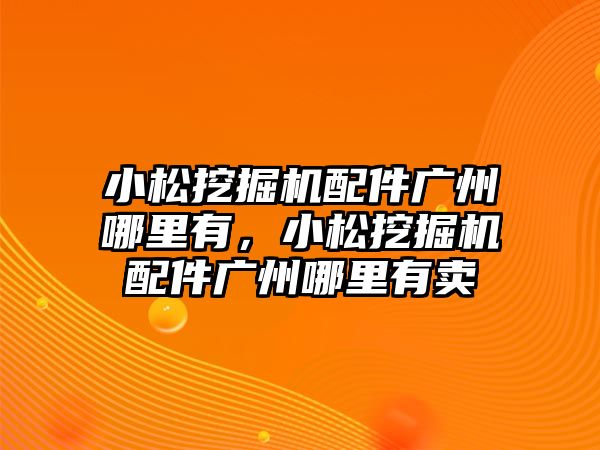 小松挖掘機配件廣州哪里有，小松挖掘機配件廣州哪里有賣