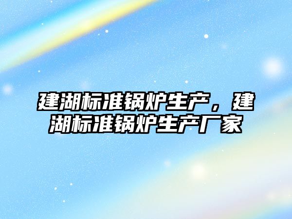 建湖標準鍋爐生產，建湖標準鍋爐生產廠家