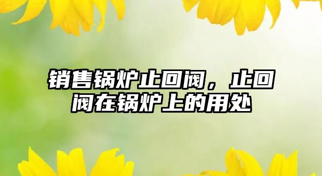 銷售鍋爐止回閥，止回閥在鍋爐上的用處