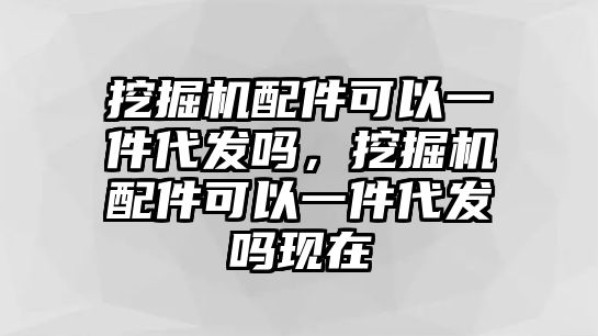 挖掘機(jī)配件可以一件代發(fā)嗎，挖掘機(jī)配件可以一件代發(fā)嗎現(xiàn)在