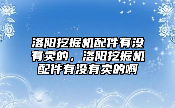 洛陽挖掘機(jī)配件有沒有賣的，洛陽挖掘機(jī)配件有沒有賣的啊