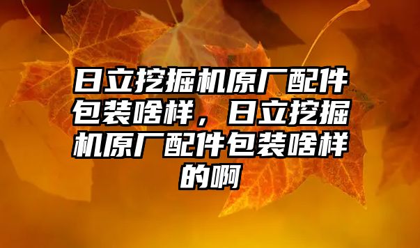 日立挖掘機原廠配件包裝啥樣，日立挖掘機原廠配件包裝啥樣的啊