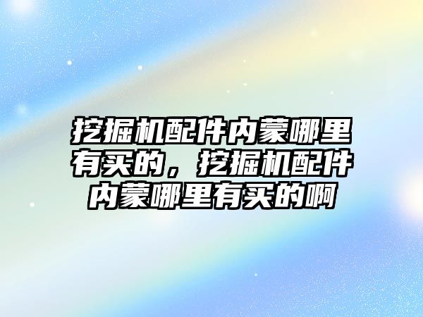 挖掘機配件內蒙哪里有買的，挖掘機配件內蒙哪里有買的啊