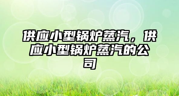 供應小型鍋爐蒸汽，供應小型鍋爐蒸汽的公司