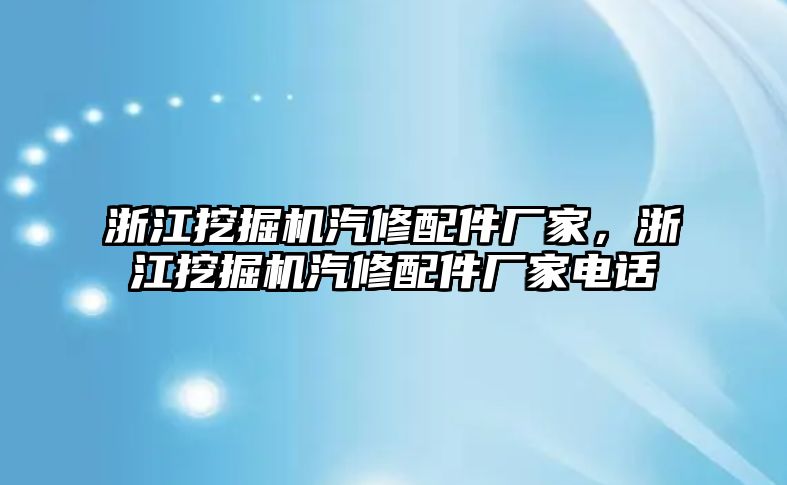 浙江挖掘機汽修配件廠家，浙江挖掘機汽修配件廠家電話