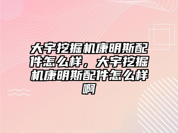 大宇挖掘機康明斯配件怎么樣，大宇挖掘機康明斯配件怎么樣啊