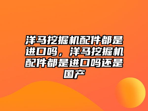 洋馬挖掘機配件都是進口嗎，洋馬挖掘機配件都是進口嗎還是國產