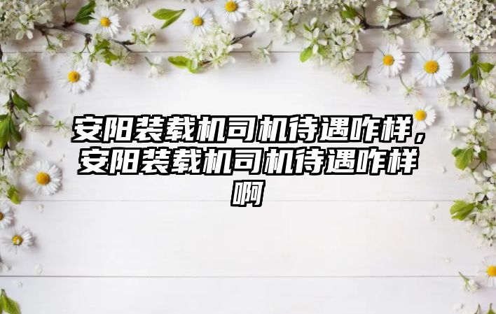 安陽裝載機司機待遇咋樣，安陽裝載機司機待遇咋樣啊