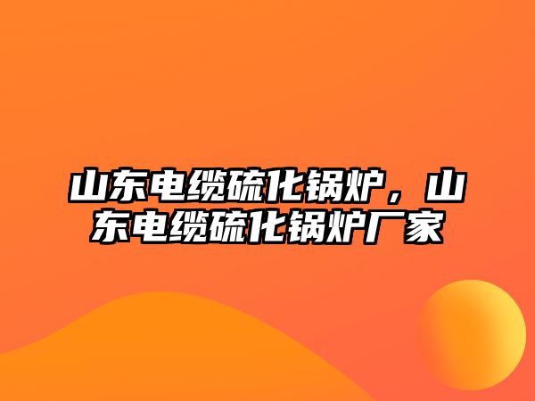 山東電纜硫化鍋爐，山東電纜硫化鍋爐廠家