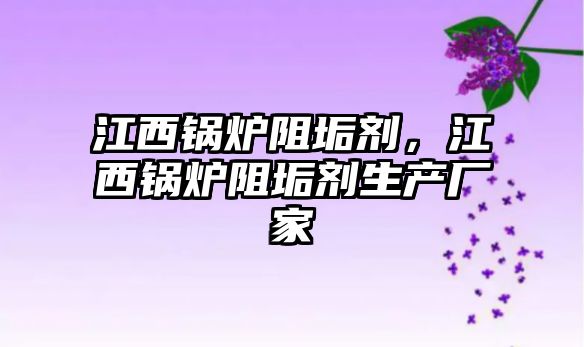 江西鍋爐阻垢劑，江西鍋爐阻垢劑生產廠家