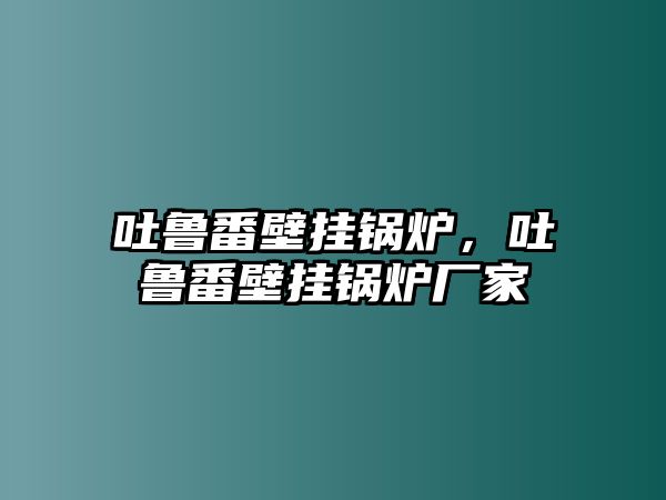 吐魯番壁掛鍋爐，吐魯番壁掛鍋爐廠家