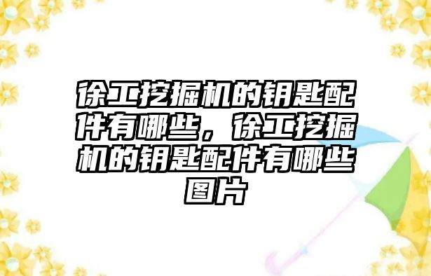 徐工挖掘機的鑰匙配件有哪些，徐工挖掘機的鑰匙配件有哪些圖片