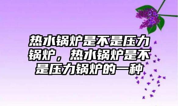 熱水鍋爐是不是壓力鍋爐，熱水鍋爐是不是壓力鍋爐的一種