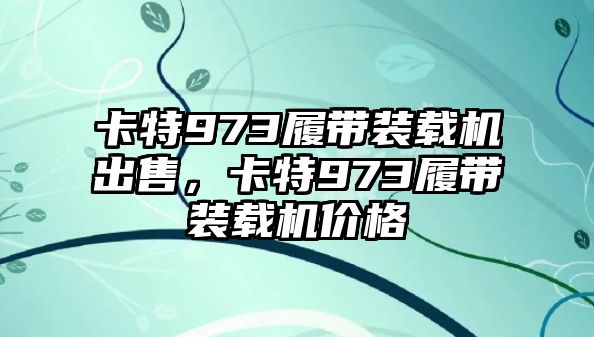 卡特973履帶裝載機(jī)出售，卡特973履帶裝載機(jī)價(jià)格