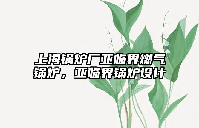 上海鍋爐廠亞臨界燃?xì)忮仩t，亞臨界鍋爐設(shè)計