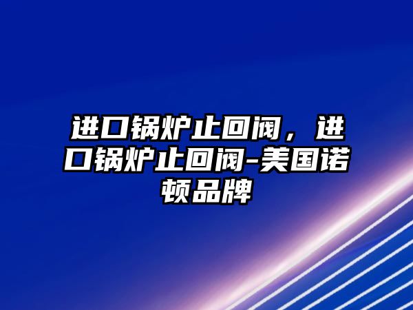 進口鍋爐止回閥，進口鍋爐止回閥-美國諾頓品牌