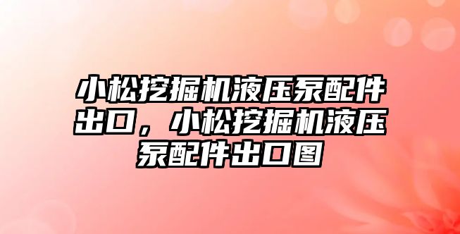 小松挖掘機液壓泵配件出口，小松挖掘機液壓泵配件出口圖