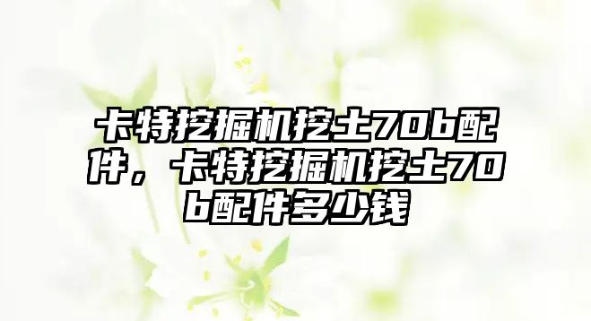 卡特挖掘機挖土70b配件，卡特挖掘機挖土70b配件多少錢