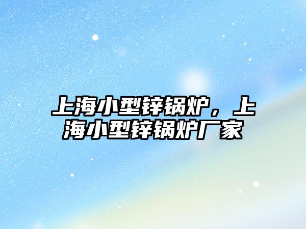 上海小型鋅鍋爐，上海小型鋅鍋爐廠家