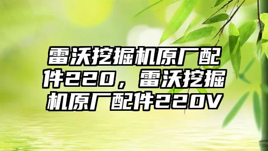 雷沃挖掘機原廠配件220，雷沃挖掘機原廠配件220V