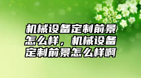 機械設備定制前景怎么樣，機械設備定制前景怎么樣啊