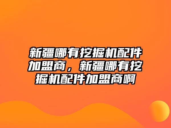 新疆哪有挖掘機配件加盟商，新疆哪有挖掘機配件加盟商啊