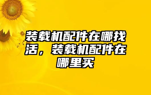 裝載機配件在哪找活，裝載機配件在哪里買