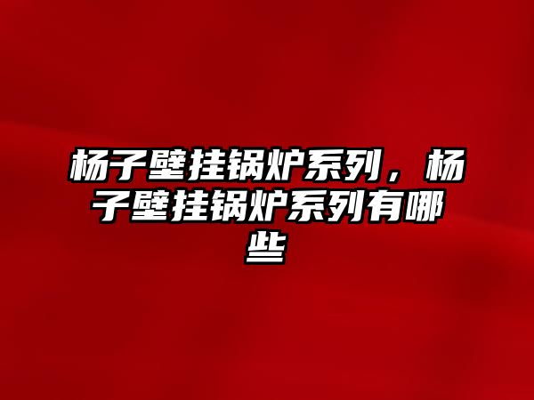 楊子壁掛鍋爐系列，楊子壁掛鍋爐系列有哪些