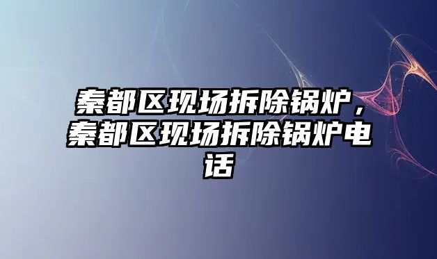 秦都區現場拆除鍋爐，秦都區現場拆除鍋爐電話