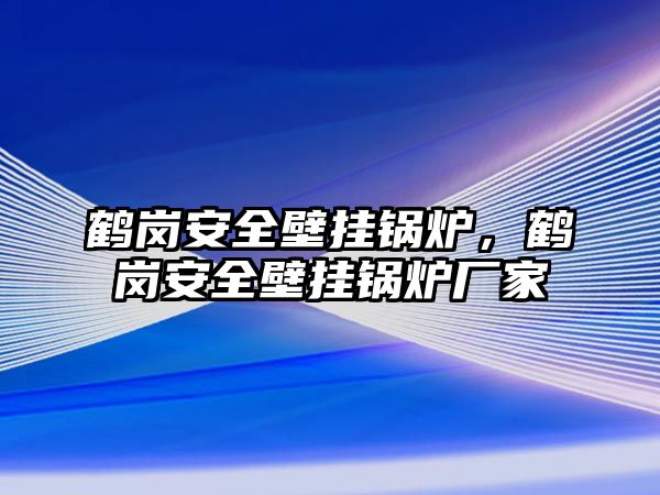 鶴崗安全壁掛鍋爐，鶴崗安全壁掛鍋爐廠家