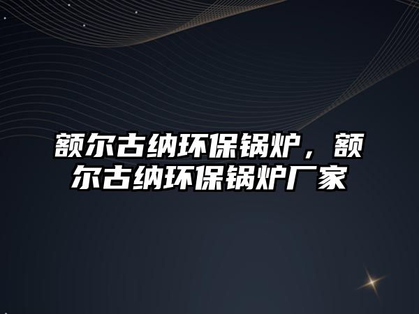 額爾古納環保鍋爐，額爾古納環保鍋爐廠家