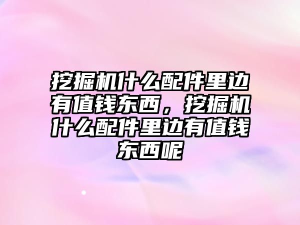 挖掘機什么配件里邊有值錢東西，挖掘機什么配件里邊有值錢東西呢