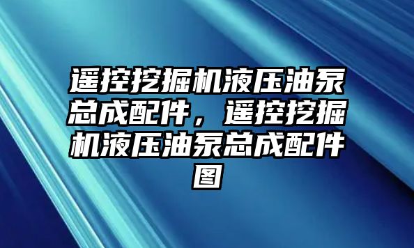 遙控挖掘機液壓油泵總成配件，遙控挖掘機液壓油泵總成配件圖