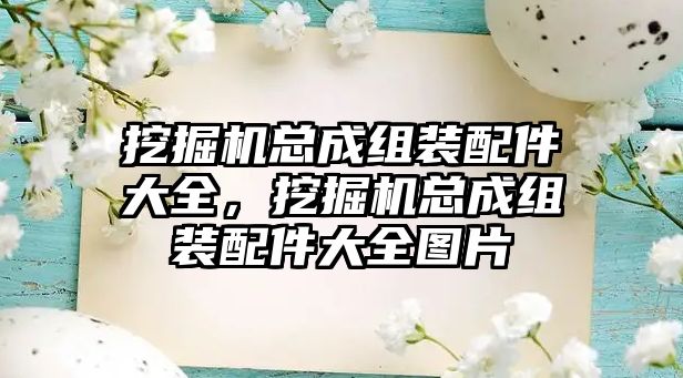 挖掘機總成組裝配件大全，挖掘機總成組裝配件大全圖片